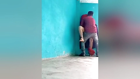 Desi Lover Standing Fucking
