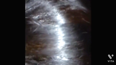 Desi Bhabhi Sucks Dick And Gets Fucked In The Night While Her Husband Is In Bedroom