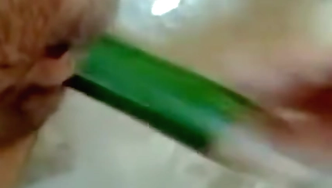 Pakistani Sex Video Of Muslim Bhabhi Solo Desi Chudai