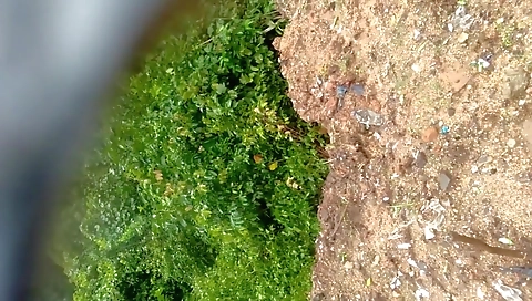 Desi Indian Outdoor Public Pissing Video Compilation