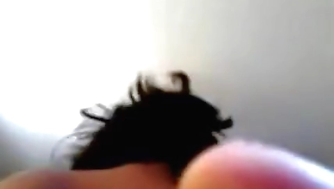 Indira Nagar Desi Amateur Girlfriend Hardcore Mms Sex Video